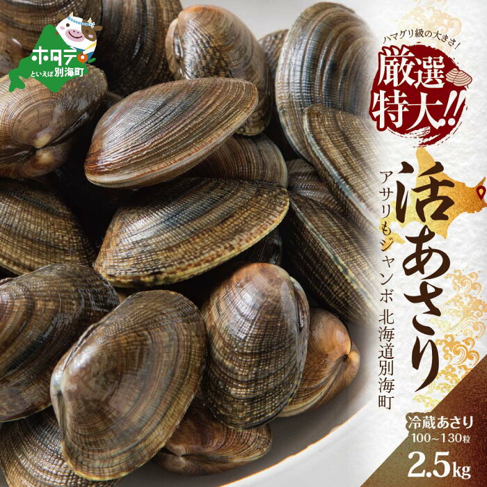 【ふるさと納税】レビュー必見！ 高評価★4.79 北海道 野付産 大粒 天然 あさり 2.5kg ( 100-130 粒 )　砂出し済！（ ふるさと納税 あさり 国産 ふるさと納税 アサリ ふるさと納税 訳あり アサリ貝 あさり貝 砂抜き 海鮮 魚介類 魚介 貝 冷蔵 活 10000 円 ）