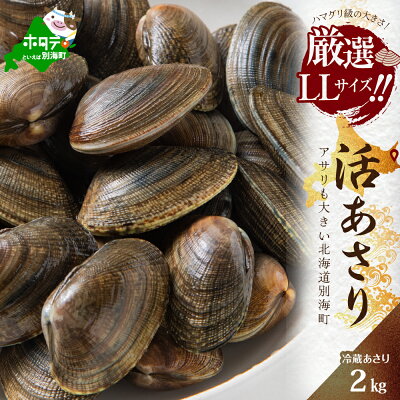 楽天ふるさと納税　【ふるさと納税】高評価★4.61 北海道 野付産 大粒 天然 活あさり 2kg （ ふるさと納税 北海道 ふるさと納税 アサリ 北海道 別海町 ふるさと アサリ 浅蜊 貝 あさり貝 アサリ貝 大粒 ふるさと納税 12000 円 ふるさと納税 1万2千円 ふるさと納税 人気 春 旬 ）【UY0000003】