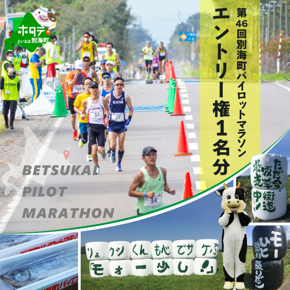 【ふるさと納税】第46回別海町パイロットマラソン マラソン（42.195km）の部エントリー権（PM ...