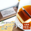 【ふるさと納税】【定期便】濃厚プリン New Pudding(ニュープディング)(500g×1本)×12ヶ月【be152-0931-100-12】(プリン 乳製...