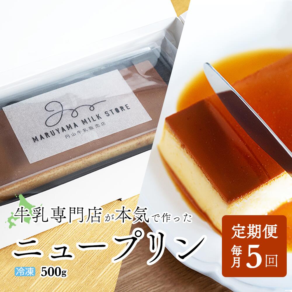 【ふるさと納税】【定期便】濃厚プリン New Pudding（ニュープディング）（500g×1本）×5ヶ月【be152-0931-100-5】