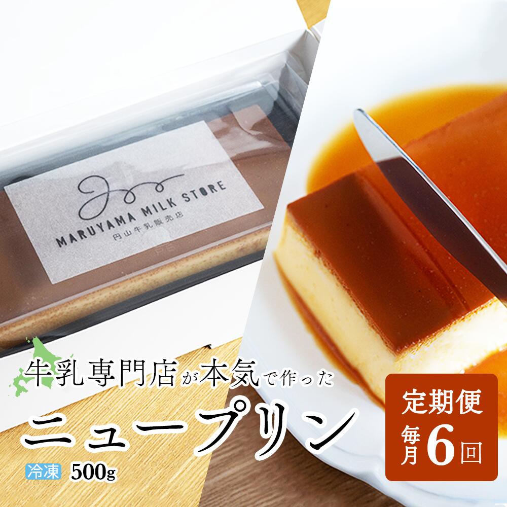 【ふるさと納税】【定期便】濃厚プリン New Pudding（ニュープディング）（500g×1本）×6ヶ月【be152-0931-100-6】