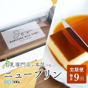 【ふるさと納税】【定期便】濃厚プリン New Pudding(ニュープディング)(500g×1本)×9ヶ月【be152-0931-100-9】(プリン 乳製品 ...