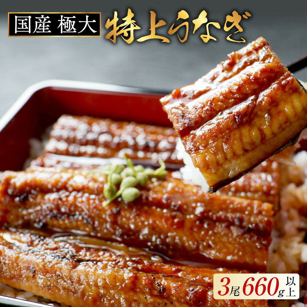 【ふるさと納税】国産 極大 特上うなぎ 220g×3尾【発送時期が選べる】（ ふるさと納税 うなぎ 国産 うなぎ 美味しい 鰻 ウナギ 蒲焼き 蒲焼 かばやき 魚 魚介 魚貝 海鮮 うな重 ひつまぶし 蒲焼 訳あり ギフト 人気 おすすめ 北海道 別海町 ふるさと納税 ）
