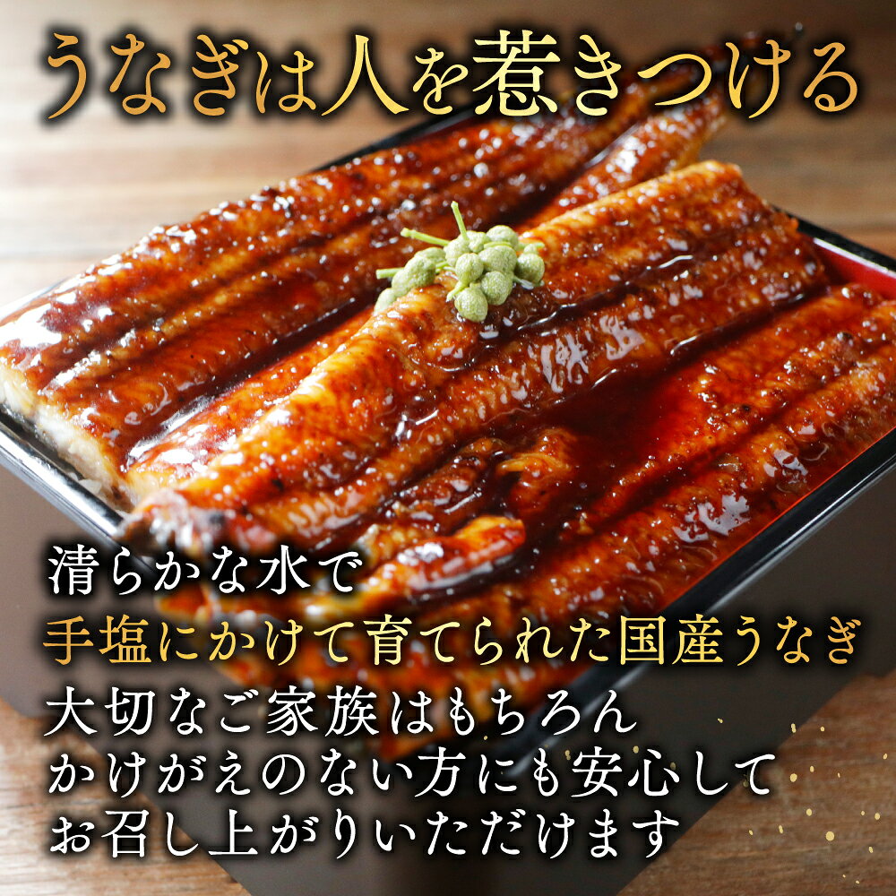 【ふるさと納税】極大 特上 うなぎ 220g×2尾 国産 【発送時期が選べる】（ ふるさと納税 うなぎ 国産 鰻 美味しい ウナギ 蒲焼き 蒲焼 かばやき 魚 魚介 魚貝 海鮮 うな重 ひつまぶし 蒲焼 訳あり ギフト 人気 おすすめ 北海道 別海町 ふるさと納税 ） f016918-betsukai-10005162 北海道別海町 サンプル画像3