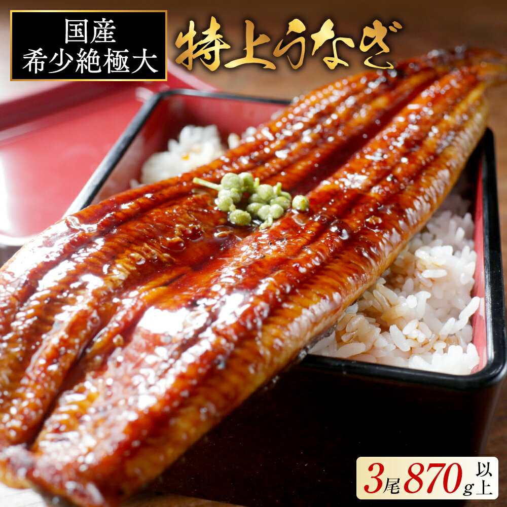 Rakuten - 【ふるさと納税】 極大 特上うなぎ 290g×3尾【発送時期が選べる】（ ふるさと納税 うなぎ 国産 鰻 ウナギ 蒲焼き 蒲焼 かばやき ふるさと納税 訳あり ふるさと 魚 魚介 海鮮 うな重 ひつまぶし 蒲焼 訳あり ギフト 人気 おすすめ 北海道 別海町 ふるさと納税 父の日 ）