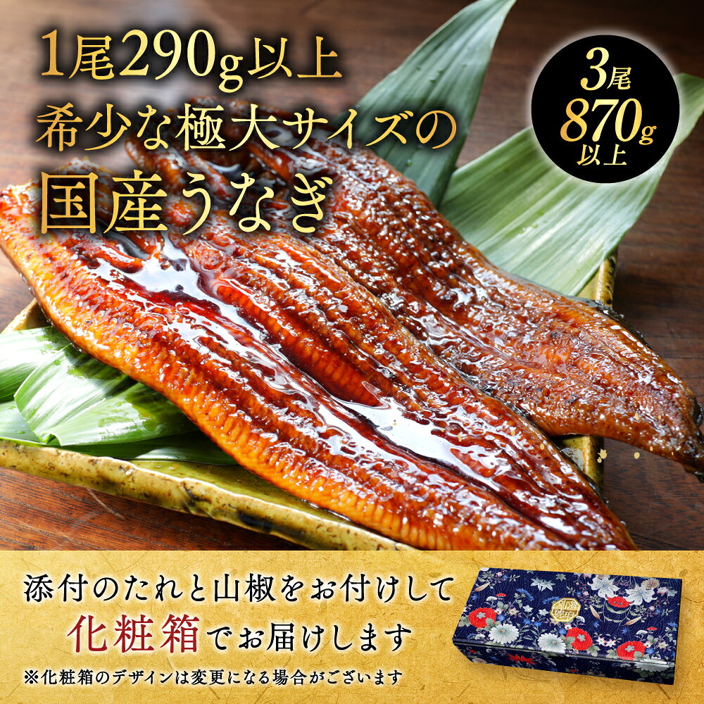 【ふるさと納税】 極大 特上うなぎ 290g×3尾【発送時期が選べる】（ ふるさと納税 うなぎ 国産 鰻 美味しい 蒲焼き 蒲焼 かばやき ふるさと納税 訳あり ふるさと 魚 魚介 海鮮 うな重 ひつまぶし 蒲焼 訳あり ギフト 人気 おすすめ 北海道 別海町 ふるさと納税 ） f016918-betsukai-10005161 北海道別海町 サンプル画像2