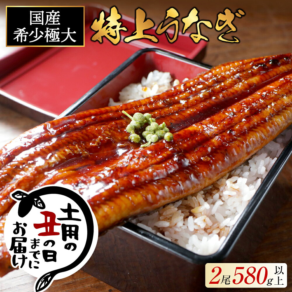 【ふるさと納税】国産 希少 極大 特上うなぎ 290g×2尾【発送時期が選べる】（ ふるさと納税 うなぎ 美...