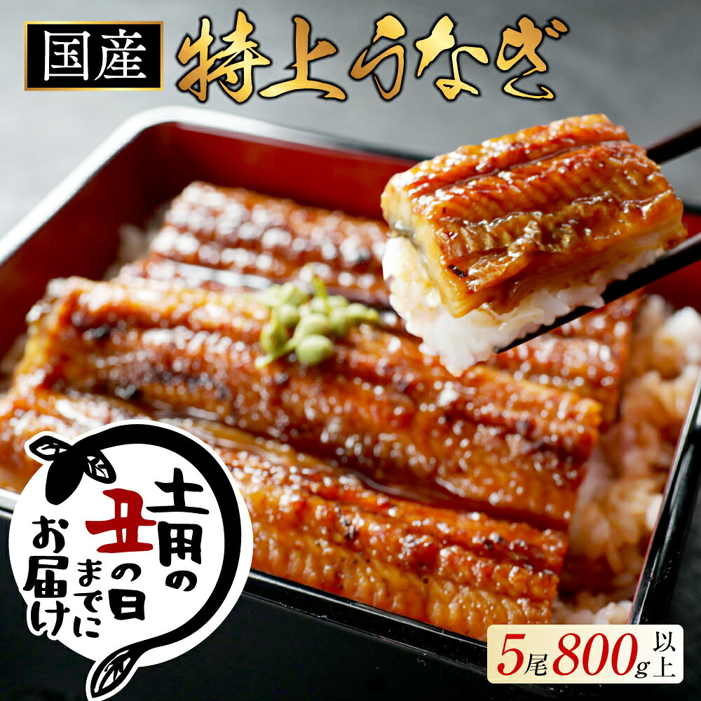 【ふるさと納税】国産 大 特上うなぎ 160g×5尾 【発送時期が選べる】（ ふるさと納税 うなぎ 国産 鰻 ウナギ 蒲焼き 蒲焼 かばやき 魚 魚介 魚貝 海鮮 うな重 ひつまぶし 蒲焼 訳あり ギフト 人気 おすすめ 北海道 別海町 ふるさと納税 お中元 ）