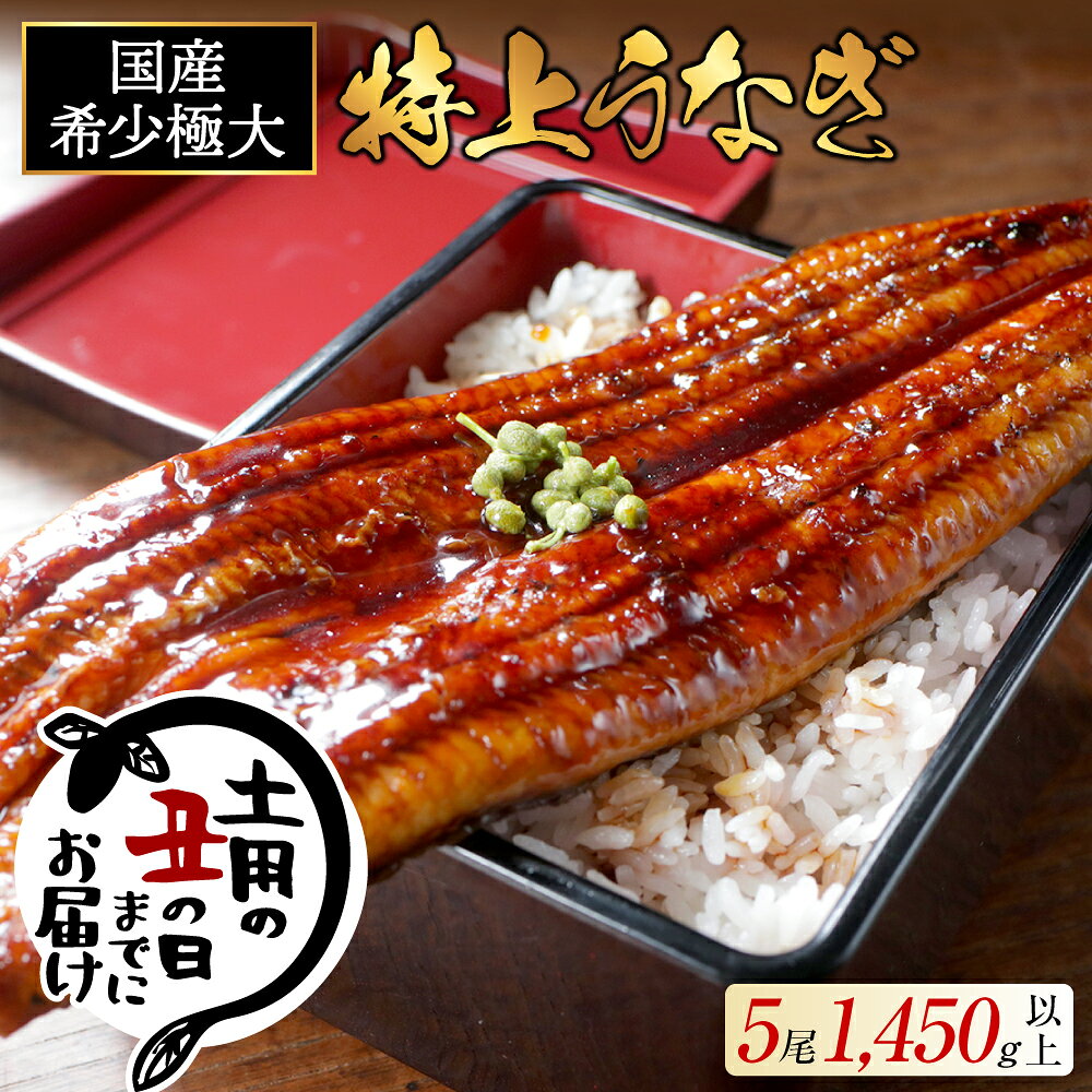 【ふるさと納税】国産 希少 極大 特上うなぎ 290g×5尾【発送時期が選べる】（ ふるさと納税 うなぎ 美味しい 国産 うなぎ 鰻 ウナギ 蒲焼き 蒲焼 かばやき 魚 魚介 魚貝 海鮮 うな重 ひつまぶし 蒲焼 訳あり ギフト 人気 おすすめ 北海道 別海町 ふるさと納税 お中元 ）