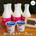 【ふるさと納税】ヨーグルトチーズセット のむヨーグルト500ml×5本 食べるヨーグルト100g×2個 ブリック・ド・ナカシベツプレーン1個 ヨーグルト のむヨ...