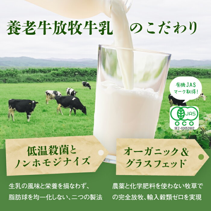 【ふるさと納税】オーガニック＆グラスフェッド養老牛放牧牛乳900ml×2本とエシカル・プリン×4個セット | 有機JAS認証 グラスフェッド 牛乳 無添加 プリン てんさい糖 化学肥料不使用 農薬不使用 健康志向 安心 安全 お取り寄せ 北海道 中標津町 中標津【1301201】