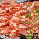 【ふるさと納税】【定期便:全3回】 知床 ジンギスカン店 そら ジンギスカン 2種 セット ラム肩ロース 味付き 塩 各300g 計600g オンライン 申請 ふるさと納税 北海道 中標津 ラム肉 知床ジンギスカン 焼肉 BBQ 定期便 3ヶ月 中標津町【16011】