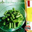 101位! 口コミ数「0件」評価「0」行者ニンニクFDカプセル90粒 サプリメント 行者にんにく 健康食品 フリーズドライ カプセル 疲労回復 長寿 体力増強 野菜 山菜 山の幸 ふるさと納税 北海道 中標津町 中標津【20007】