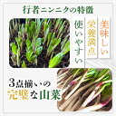 北海道中標津町の画像3