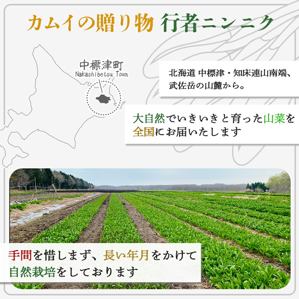 【ふるさと納税】行者ニンニクFDカプセル90粒×2袋 サプリメント 行者にんにく 健康食品 フリーズドライ カプセル 疲労回復 長寿 体力増強 野菜 山菜 山の幸 ふるさと納税 北海道 中標津町 中標津【20008】
