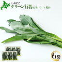 【ふるさと納税】行者にんにく グリーン行者 葉部 6袋 オンライン 申請 ふるさと納税 北海道 中標津 行者ニンニク 幻の山菜 山菜 山の幸 野菜 疲労回復 健康効果 長寿 体力増強 ダイエット効果 焼肉 卵とじ トッピング おひたし【20011】