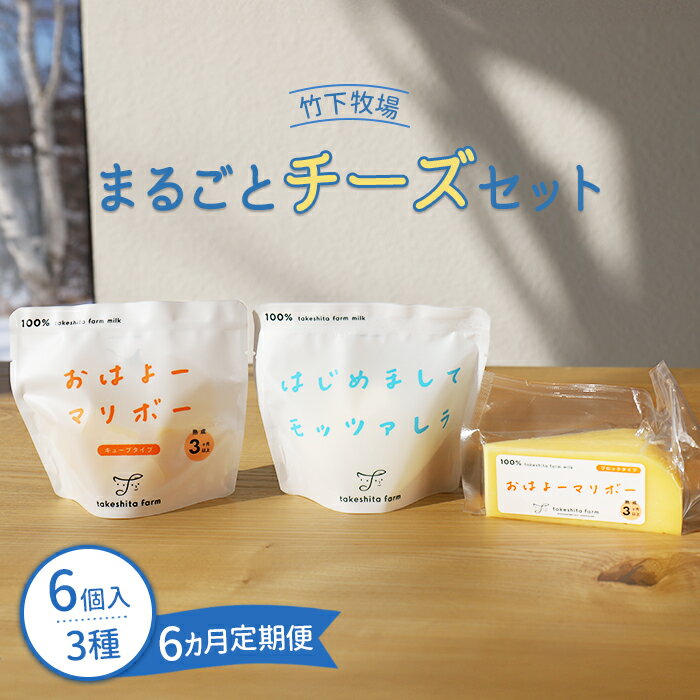 【ふるさと納税】【定期便:全6回】 竹下牧場 takeshita farmまるごとチーズセット 計560g 乳製品 チーズ チーズセット モッツアレラ マリボー 発酵食品 定期便 6ヶ月 ふるさと納税 北海道 中標津町 中標津【24003】