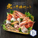【ふるさと納税】【北のセレクション】北の干物セットB | 全7種 ほっけ めんめ かれい いか ししゃも こまい 開き 干し 乾き物 干物 時短 魚 おつまみ ...