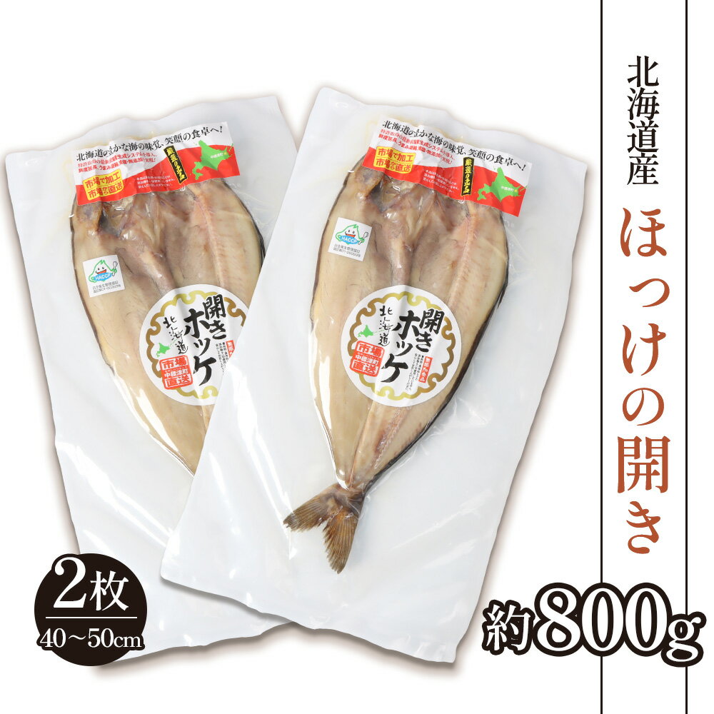 【ふるさと納税】「豊富な旨み」北海道産 ふっくらとしたホッケの開き2枚40cm～50cm 約800g ホッケ 干物 ひもの セット 加工品 海鮮 魚介類 魚 お取り寄せ ギフト 旨み 旨味 うまみ ふるさと納税 北海道 中標津町 中標津【2500401】