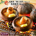 【ふるさと納税】「想いの茸」生椎茸と乾燥椎茸詰め合わせ 生椎茸500g×3P 乾燥椎茸50g×1袋×3種 しいたけ シイタケ 椎茸 生しいたけ 生シイタケ 乾燥...