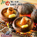 【ふるさと納税】「想いの茸」生椎茸と乾燥椎茸セット 生椎茸8cm前後×20個 乾燥椎茸丸20g+スライス20g しいたけ シイタケ 椎茸 生しいたけ 生シイタケ...