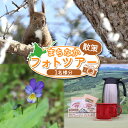 【ふるさと納税】まちなか散策 フォトツアー 体験チケット 1人分 オンライン 申請 ふるさと納税 北海道 中標津 散策 探検 公園 写真 カメラ 撮影 動物 植...
