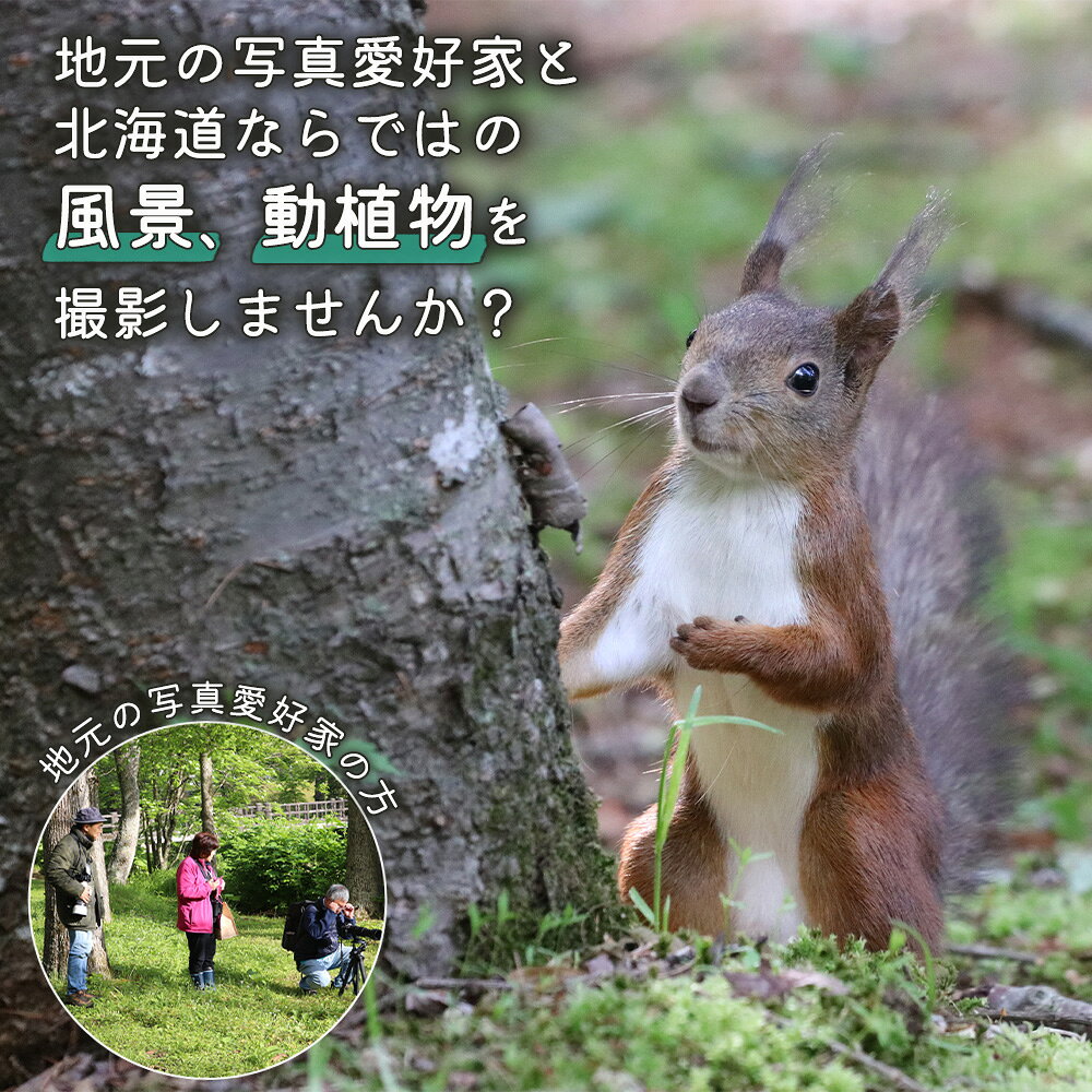 【ふるさと納税】まちなか散策 フォトツアー 体験チケット 2人分 オンライン 申請 ふるさと納税 北海道 中標津 散策 探検 公園 写真 カメラ 撮影 動物 植物 風景 ツアー 早朝ツアー 体験 チケット 券 2名 中標津町【32013】 2