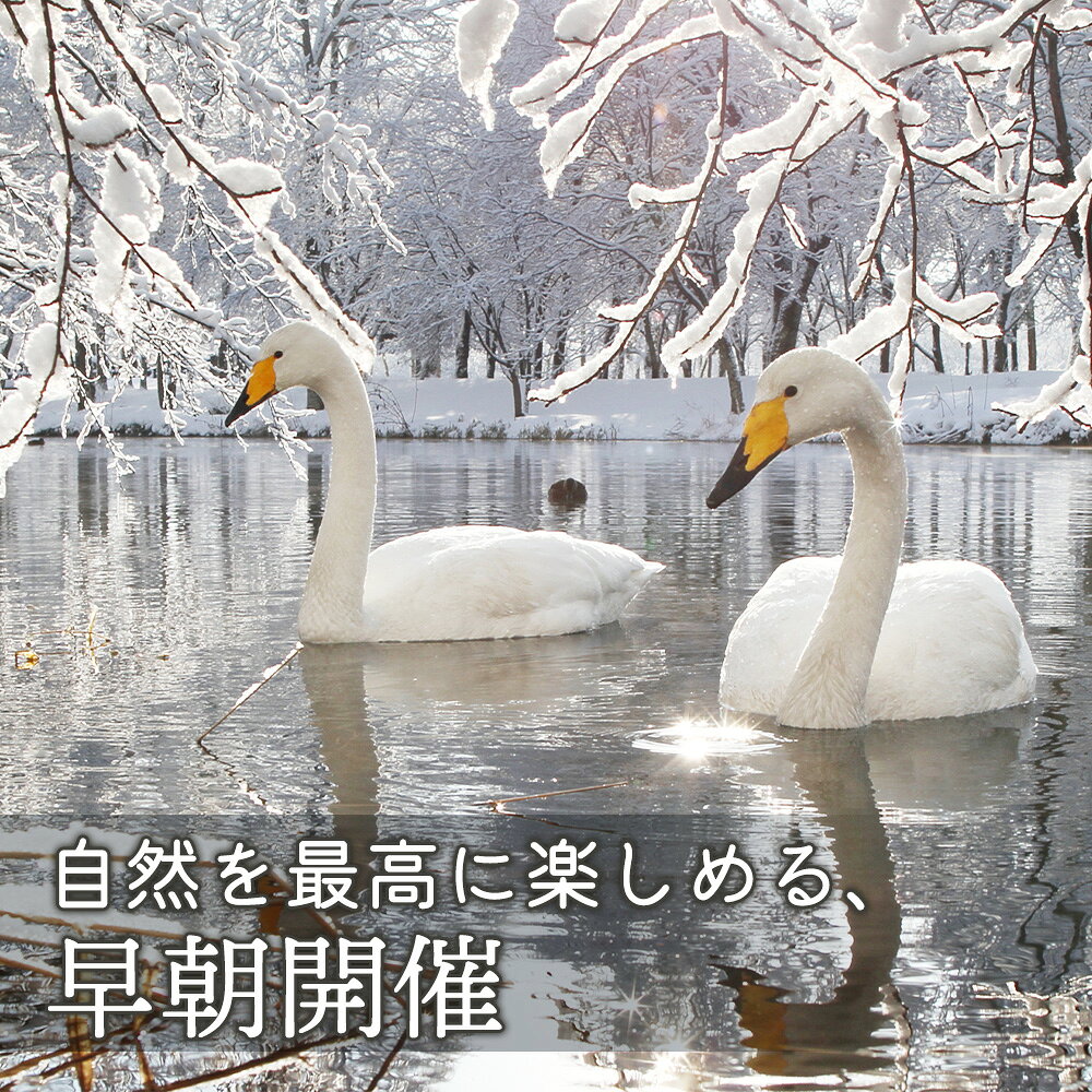 【ふるさと納税】まちなか散策 フォトツアー 体験チケット 2人分 オンライン 申請 ふるさと納税 北海道 中標津 散策 探検 公園 写真 カメラ 撮影 動物 植物 風景 ツアー 早朝ツアー 体験 チケット 券 2名 中標津町【32013】 3