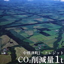 【ふるさと納税】中標津町Jクレジット CO2削減量1t カーボンオフ 地球温暖化防止 間伐促進 環境保全クレジット 木製コースター 雑貨 日用品 コースター ふ...