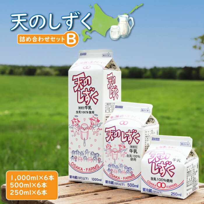 【ふるさと納税】天のしずく 詰め合わせセットB 1000ml×6本 500ml×6本 250ml×6本 牛乳 ミルク 生乳100% お取り寄せ 贈り物 中温殺菌...