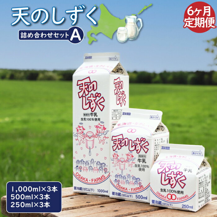【ふるさと納税】【定期便:6回】 天のしずく 詰め合わせセットA 1000ml×3本 500ml×3本 250ml×3本 牛乳 ミルク 生乳100% お取り寄せ...