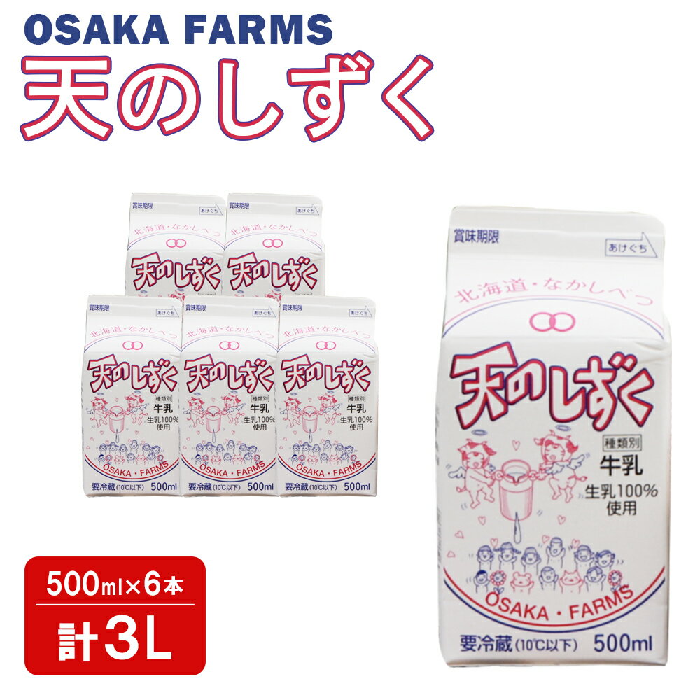 【ふるさと納税】天のしずく 500ml × 6本 計 3L 牛乳 ミルク 生乳100% お取り寄せ 贈り物 中温殺菌 OSAKA FARMS 北海道 中標津町 ...
