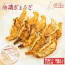 【ふるさと納税】樹苞 なかしべつミルキーポーク 100%使用 命薬ぎょうざ 15個 きぼう 餃子 ぎょうざ ギョーザ オンライン 申請 ふるさと納税 北海道 中...