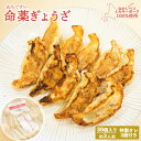 【ふるさと納税】樹苞 なかしべつミルキーポーク 100%使用 命薬ぎょうざ 30個 きぼう 餃子 ぎょうざ ギョーザ オンライン 申請 ふるさと納税 北海道 中...