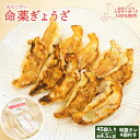 【ふるさと納税】樹苞 なかしべつミルキーポーク 100%使用 命薬ぎょうざ 45個 きぼう 餃子 ぎょうざ ギョーザ オンライン 申請 ふるさと納税 北海道 中...