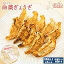 【ふるさと納税】樹苞 なかしべつミルキーポーク 100%使用 命薬ぎょうざ 60個 きぼう 餃子 ぎょうざ ギョーザ オンライン 申請 ふるさと納税 北海道 中...