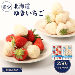 【ふるさと納税】【12月以降、随時発送!】【北海道産】ゆきいちご(ゆきぼたん/すず)白×MIX 2Pセット 各250g×2 計500g 苺 白いちご 一季成りイチゴ 希少 ギフト お取り寄せ ふるさと納税 北海道 中標津町【5900201】