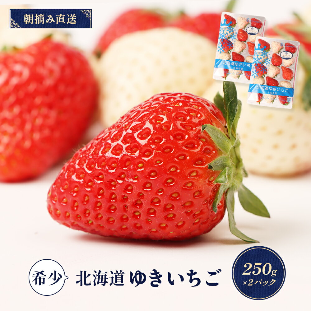 【ふるさと納税】【12月以降、随時発送!】【北海道産】ゆきいちご(ゆきぼたん/すず)赤白MIX×2Pセット 250g×2 計500g 苺 白いちご 一季成りイチ...