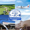 【ふるさと納税】旅行割引 クーポン券 30,000円分 寄付額 100,000円 オンライン 申請 ふるさと納税 北海道 中標津 旅行 旅行券 旅行クーポン 航...