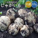 【ふるさと納税】じゃがいも 伯爵 10kg いも おいも 芋 イモ ジャガイモ ポテト はくしゃく 予約 オンライン 申請 ふるさと納税 北海道 中標津 野菜 ...