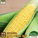 【ふるさと納税】【先行予約】上原農場直送 有機栽培とうもろこし (サニーショコラ) 約30kg 約65本前後 | 北海道 中標津 とうもろこし とうきび 野菜 夏野菜 夏 産地直送 新鮮 採れたて 朝採れ お取り寄せ ワンストップ マイページ 上原農場 中標津町【66021】