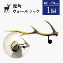 【ふるさと納税】鹿角のウォールラック 1個 60cm〜70cm | 天然 蝦夷 鹿 角 ウォールラック エゾシカ 壁掛け フック ハンガー オブジェ 雑貨 イン...