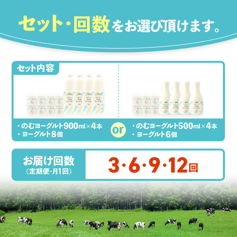 【ふるさと納税】【内容量&お届け回数が選べる！】北海道 のむヨーグルトと食べるヨーグルトセット のむヨーグルト ヨーグルト 乳製品 健康 善玉菌 整腸 無添加 定期便 月1回 朝食 スイーツ ふるさと納税 北海道 中標津町 中標津