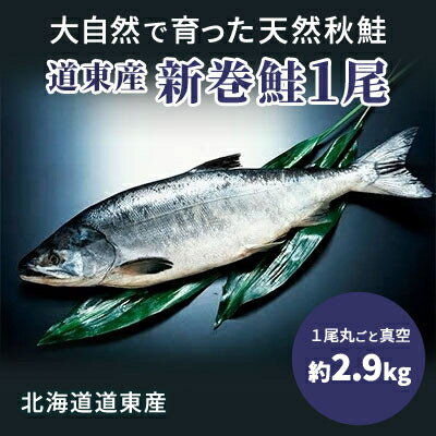 【ふるさと納税】道東産新巻鮭オス(約2.9kg)1尾【配送不