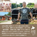 北海道標津町の画像3