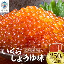 【ふるさと納税】いくら・しょうゆ味・標津産 250g×2個 イクラ 北海道 人気 おすすめ さけ 魚卵 天然 海産物_ いくら いくら醤油漬け 冷凍 小分け 鮭 鮭卵 国産 本場 北海道産【配送不可地域:離島】【1176414】
