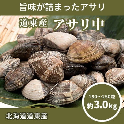 楽天ふるさと納税　【ふるさと納税】北海道道東産アサリ中(冷凍)　約3kg(180～250粒)【配送不可地域：離島】【1233944】