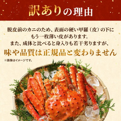 【ふるさと納税】北海道道東産　【訳あり】ボイル冷凍本タラバガニ1.0～1.1kg×1杯【配送不可地域：離島】【1371933】