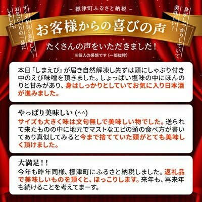 【ふるさと納税】ボイル北海しまえび中　400g【配送不可地域：離島】【1422558】